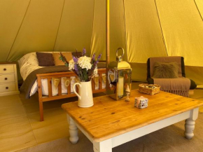 Black Mountains Glamping